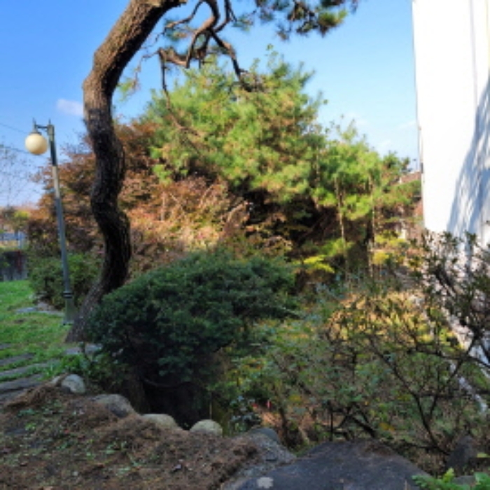 목록6 토지 전경