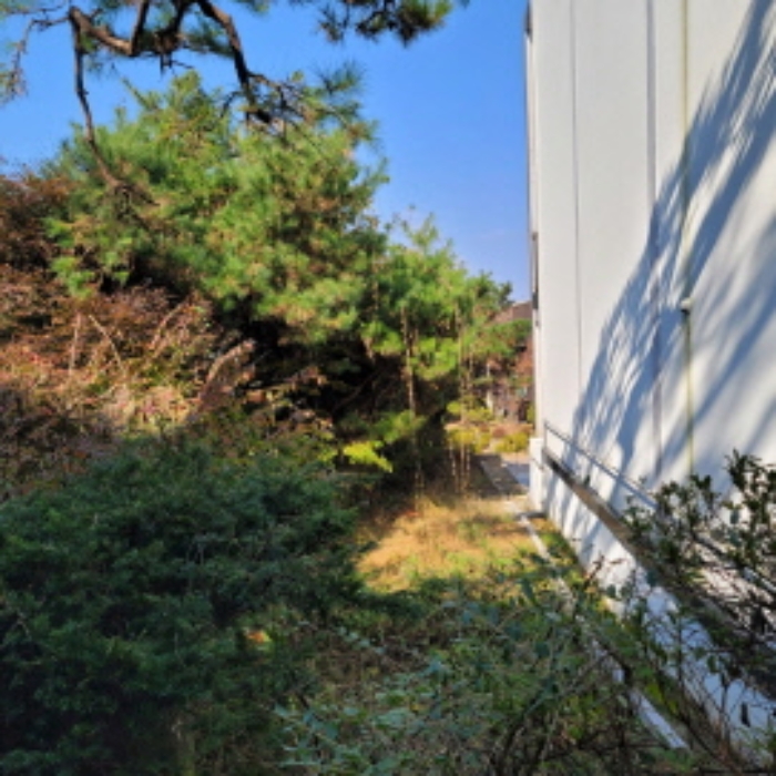 목록6 토지 전경