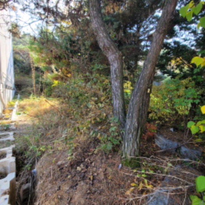 목록6 토지 전경