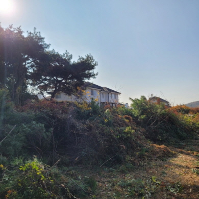 목록1 토지 전경