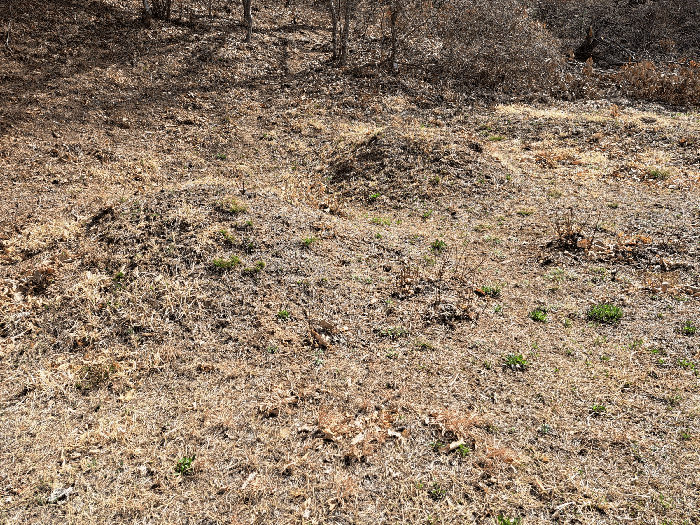 대상물건9 지상 분묘2기