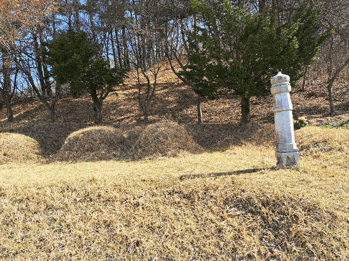 대상물건3 지상 분묘, 석물, 분묘수호림