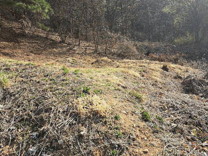 대상물건9 및 그 지상의 분묘