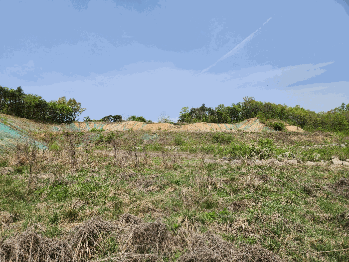 본건 기호(1~3) 전경