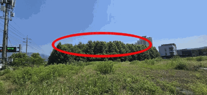 본건 기호 1,2) 전경