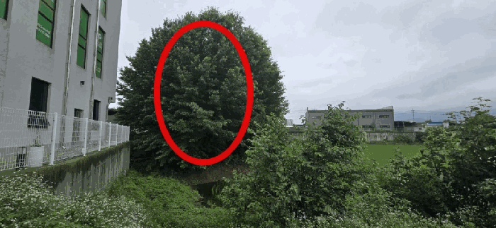 본건 기호 1,2) 전경