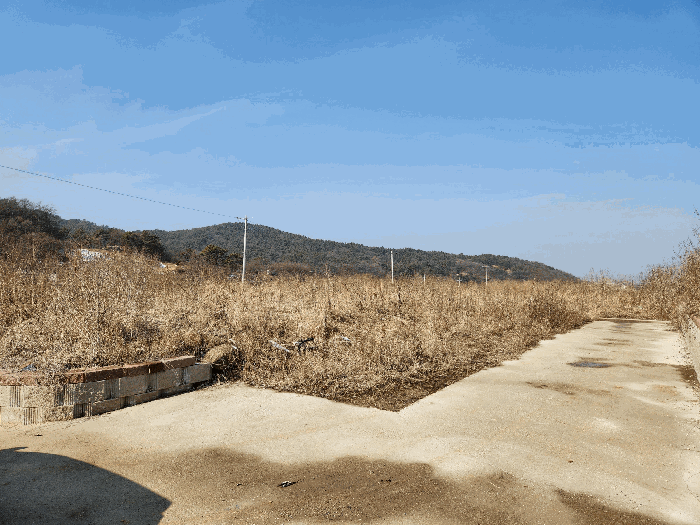 본건 기호(10,11) 전경