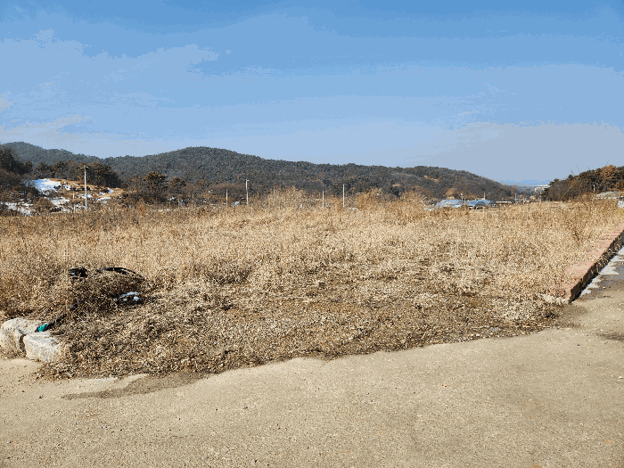 본건 기호(5) 전경