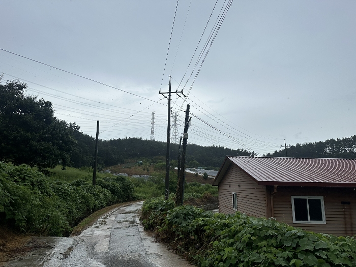 주위환경(본건 서측 도로)