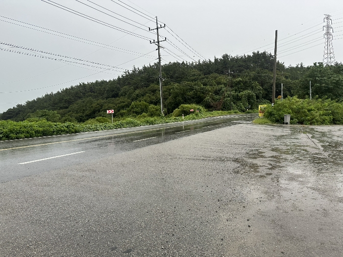 주위환경(본건 남동측 도로)