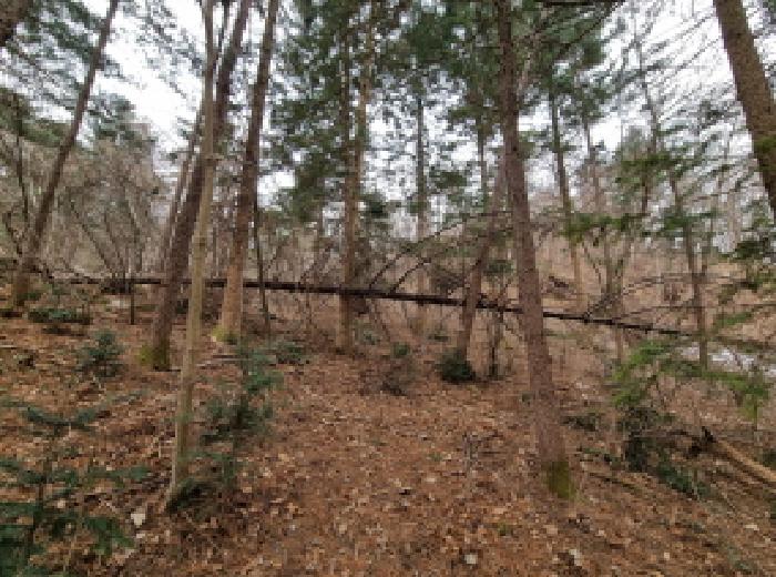 목록 4. 인근 전경