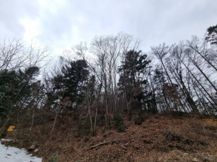 목록 5. 인근 전경