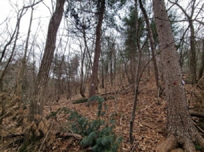 목록 5. 인근 전경