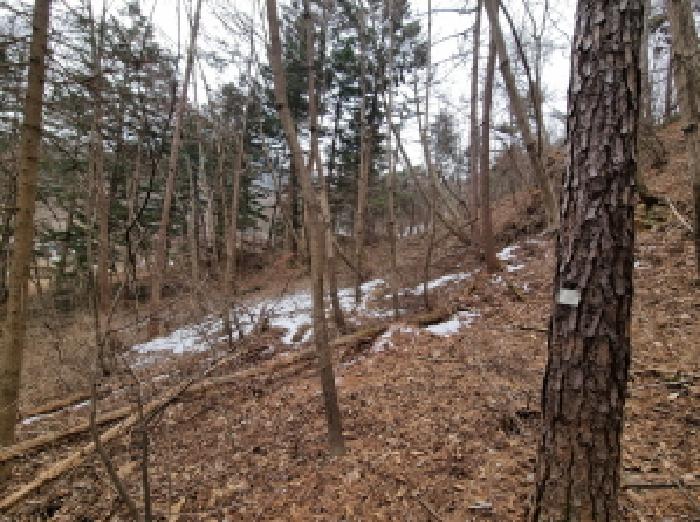 목록 5. 인근 전경