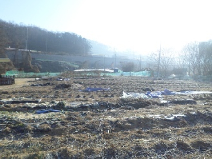 목록1 근접촬영