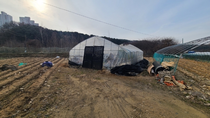 기호(3) 및 제시외 비닐하우스