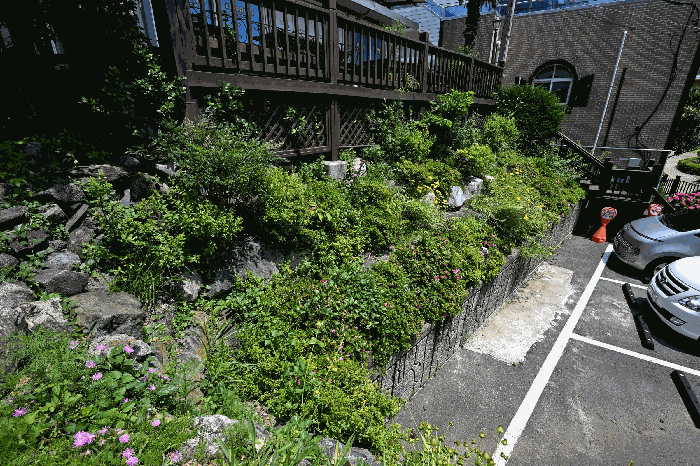 본건 토지상 수목