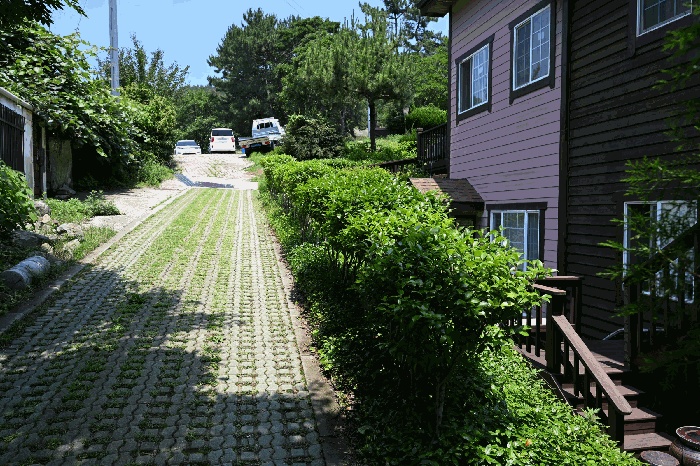 본건 토지상 수목