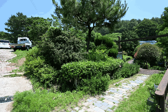 본건 토지상 수목