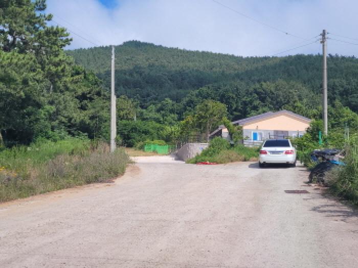 본건 1~4항 전경