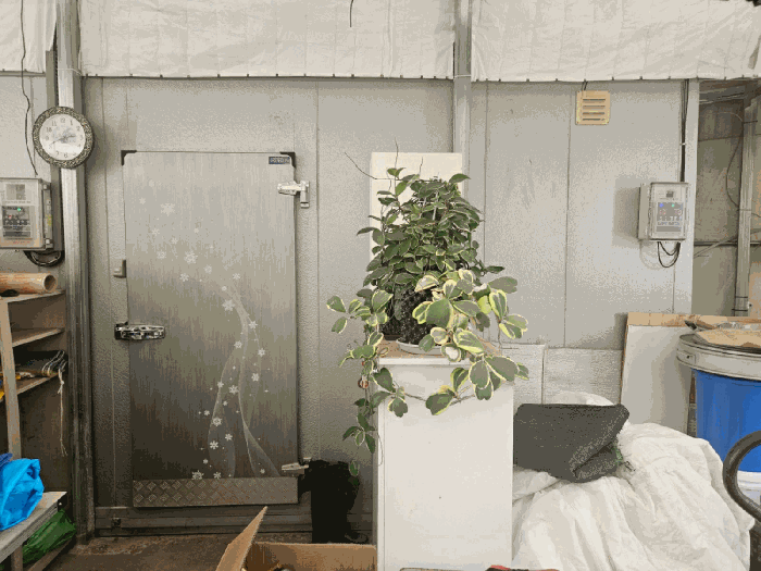 제시외기계기구 