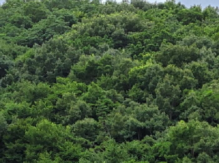 본건 1항의 전경사진.