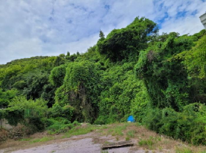 본건 2항의 전경사진임