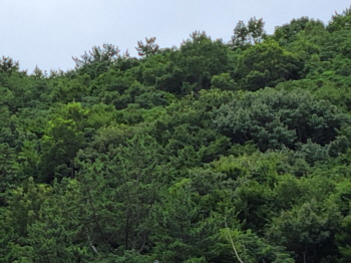 본건 1항의 전경사진.