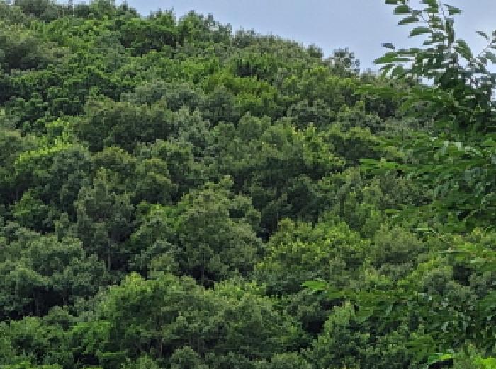 본건 1항의 전경사진.