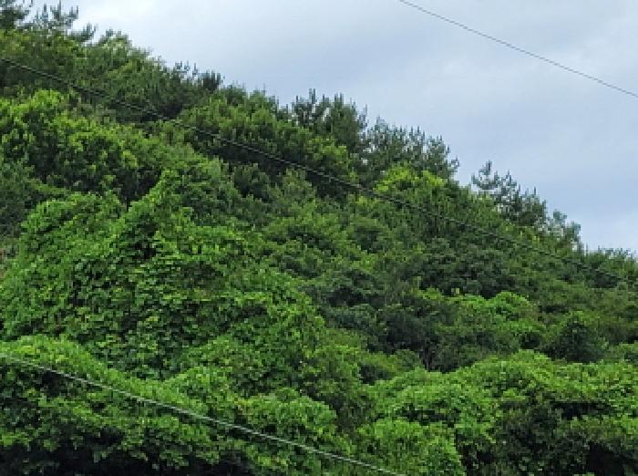 본건 3항의 전경사진.