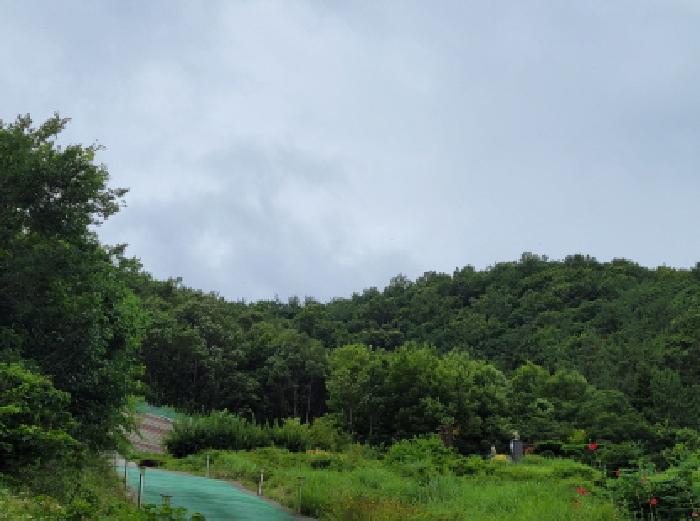 본건 4항의 전경사진으로 동측경계선상 확인요함.