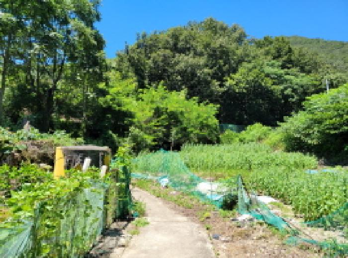 본건 1항 전경사진.