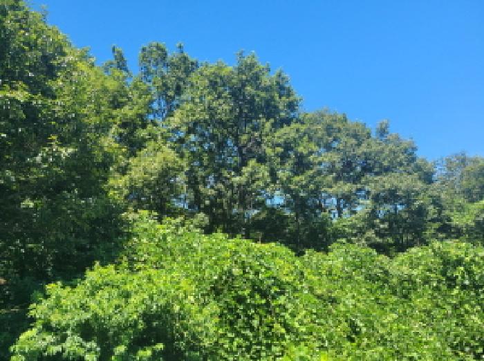 본건 1항 전경사진.