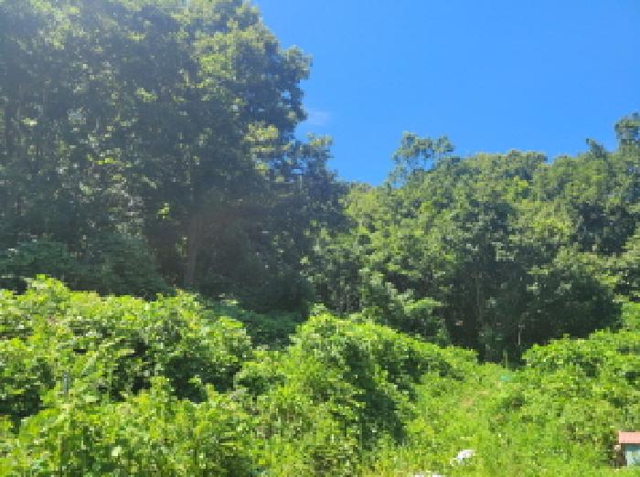 본건 2항 전경사진.