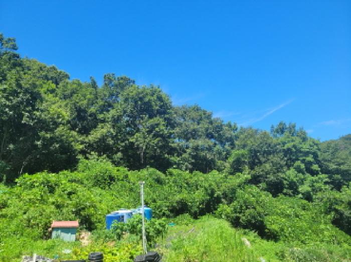 본건 2항 전경사진.