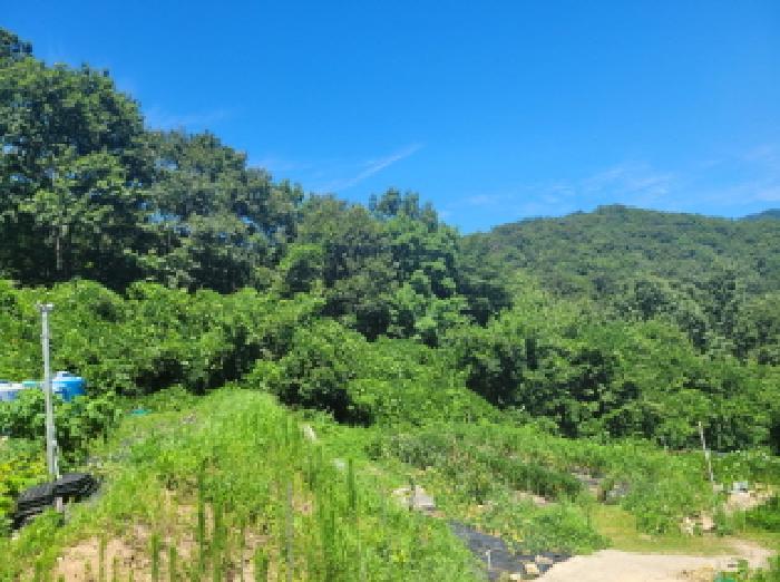 본건 2항 전경사진.