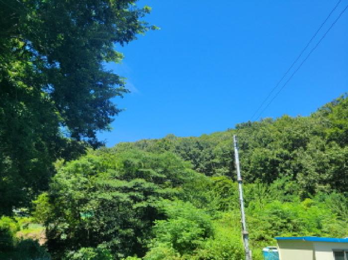 본건 2항 전경사진.