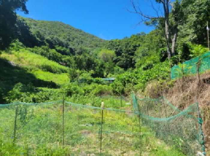 본건 3항 전경사진.