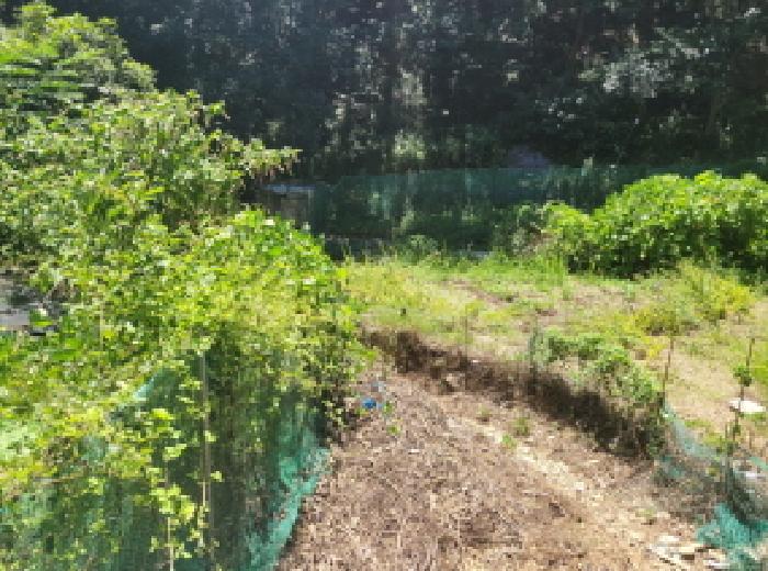 본건 3항 전경사진.