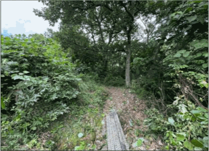 [본건 일련번호(3) 전경]