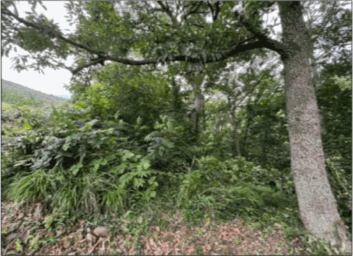 [본건 일련번호(3) 전경]