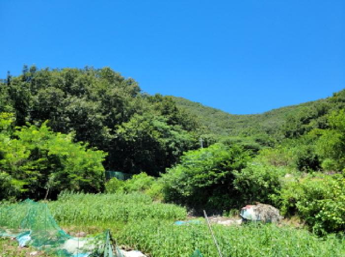 본건 1항 전경사진.