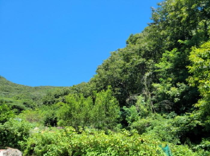 본건 1항 전경사진.