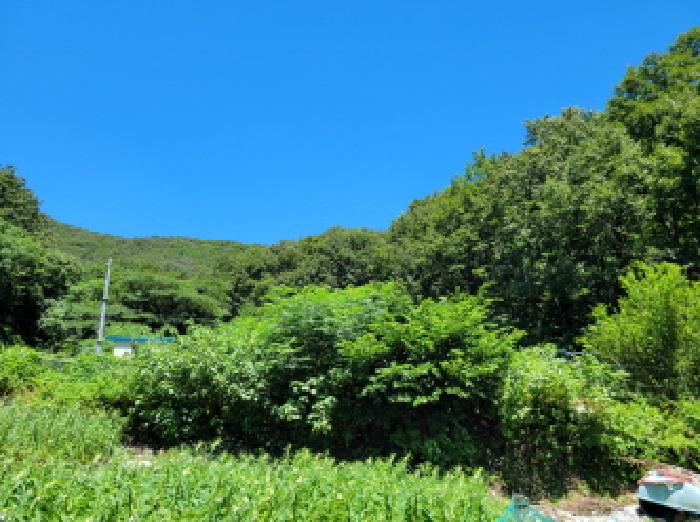 본건 1항 전경사진.