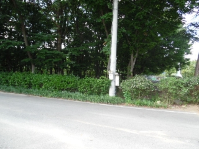 목록27.(지목 임야) 전경(2)