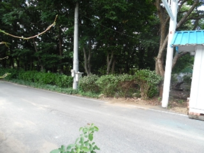 목록27.(지목 임야) 전경(1)