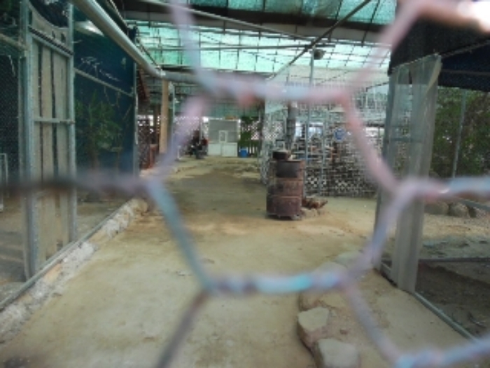 목록55.(지목 전) 비닐하우스 내부 전경(8)