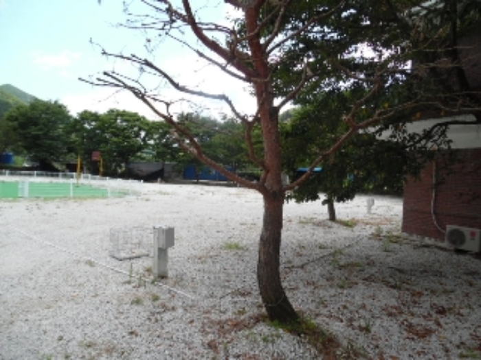 목록9.(지목 전) 전경(4)