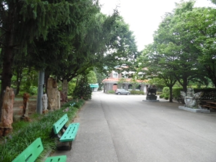 목록23.(지목 도로) 전경(1)