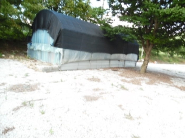 목록36.(지목  대) 전경(3)